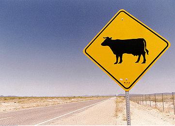 《消逝的光芒2》2018年演示 vs 正式版 变化挺大